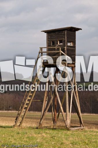 Hochstände (144 von 154).jpg